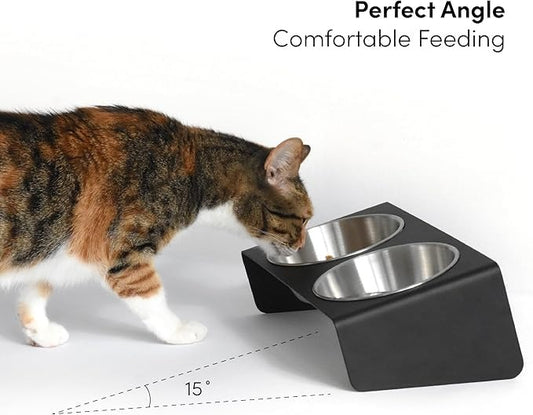 Elevated Double Pet Feeding Bowl, Stainless Steel Bowls with Black Metal Stand, Modern Design for Dogs and Cats